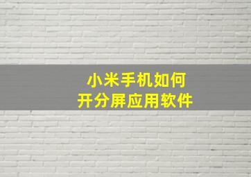 小米手机如何开分屏应用软件