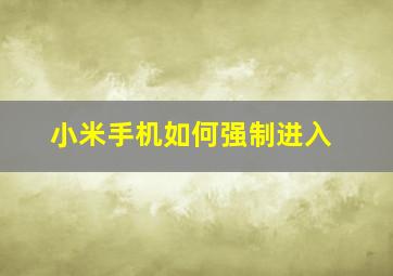 小米手机如何强制进入