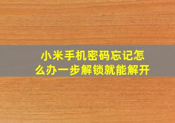 小米手机密码忘记怎么办一步解锁就能解开