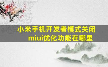 小米手机开发者模式关闭miui优化功能在哪里