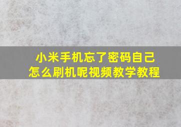 小米手机忘了密码自己怎么刷机呢视频教学教程