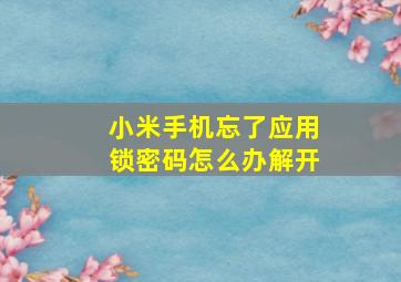 小米手机忘了应用锁密码怎么办解开