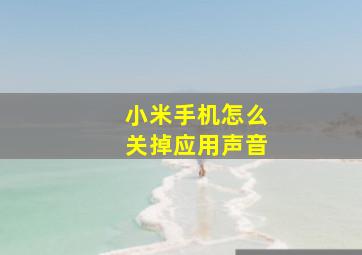 小米手机怎么关掉应用声音