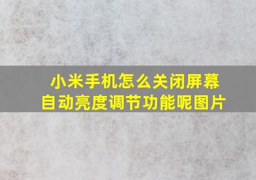 小米手机怎么关闭屏幕自动亮度调节功能呢图片