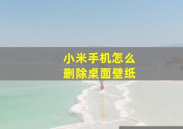 小米手机怎么删除桌面壁纸