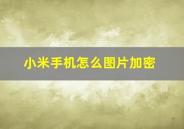 小米手机怎么图片加密