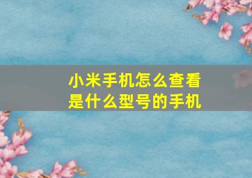 小米手机怎么查看是什么型号的手机