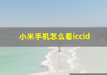 小米手机怎么看iccid