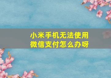 小米手机无法使用微信支付怎么办呀