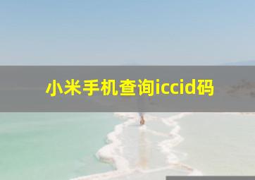 小米手机查询iccid码