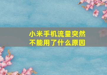 小米手机流量突然不能用了什么原因