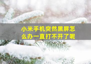 小米手机突然黑屏怎么办一直打不开了呢