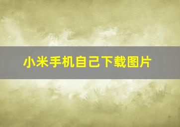 小米手机自己下载图片