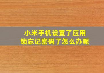 小米手机设置了应用锁忘记密码了怎么办呢