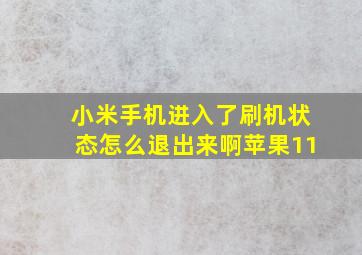 小米手机进入了刷机状态怎么退出来啊苹果11