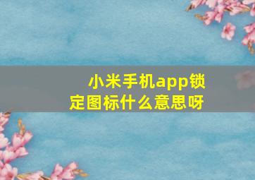 小米手机app锁定图标什么意思呀