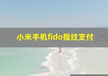 小米手机fido指纹支付