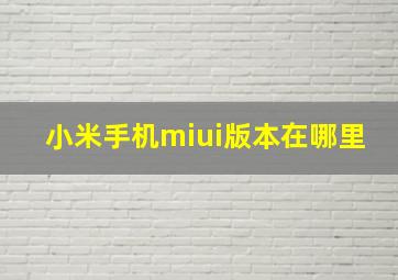 小米手机miui版本在哪里