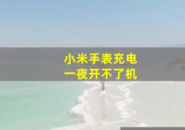 小米手表充电一夜开不了机