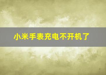 小米手表充电不开机了