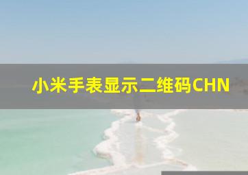 小米手表显示二维码CHN