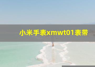 小米手表xmwt01表带