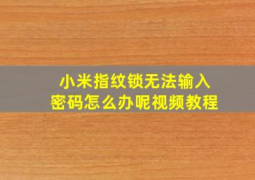 小米指纹锁无法输入密码怎么办呢视频教程