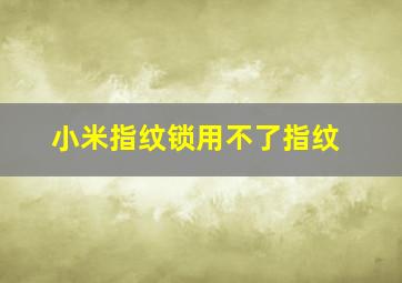 小米指纹锁用不了指纹