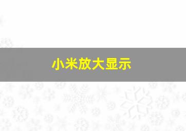 小米放大显示