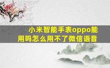 小米智能手表oppo能用吗怎么用不了微信语音