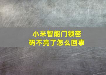 小米智能门锁密码不亮了怎么回事