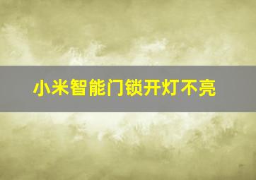 小米智能门锁开灯不亮