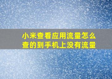 小米查看应用流量怎么查的到手机上没有流量