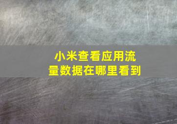 小米查看应用流量数据在哪里看到