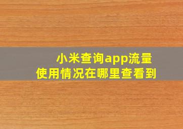 小米查询app流量使用情况在哪里查看到