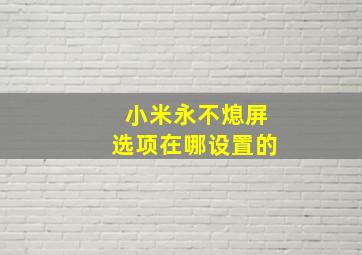 小米永不熄屏选项在哪设置的