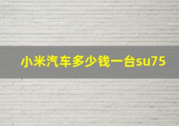 小米汽车多少钱一台su75