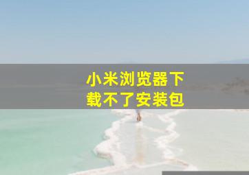 小米浏览器下载不了安装包