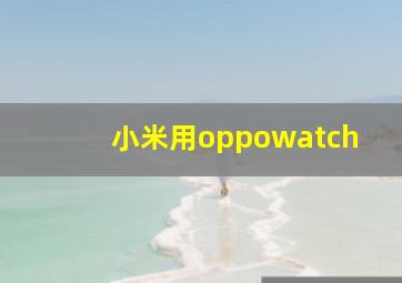 小米用oppowatch