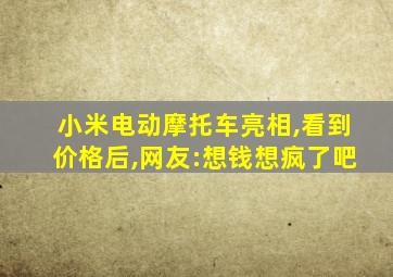 小米电动摩托车亮相,看到价格后,网友:想钱想疯了吧