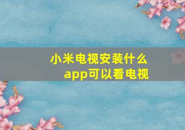 小米电视安装什么app可以看电视