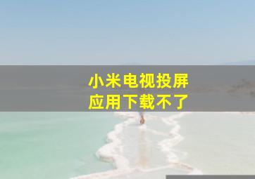 小米电视投屏应用下载不了