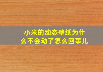 小米的动态壁纸为什么不会动了怎么回事儿