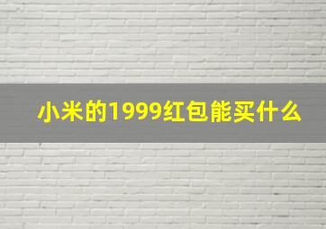 小米的1999红包能买什么