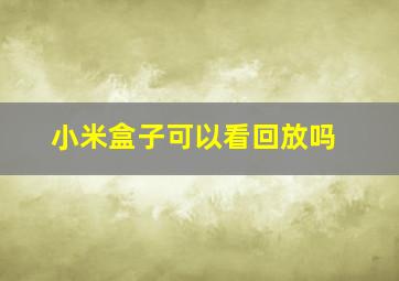 小米盒子可以看回放吗