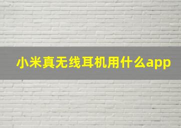 小米真无线耳机用什么app