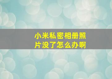 小米私密相册照片没了怎么办啊