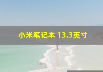 小米笔记本 13.3英寸