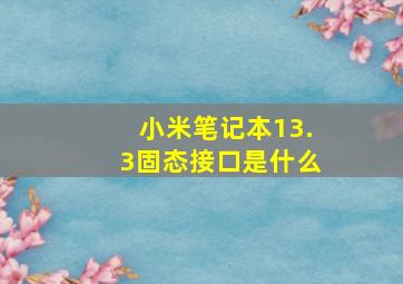 小米笔记本13.3固态接口是什么