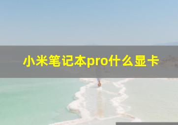 小米笔记本pro什么显卡